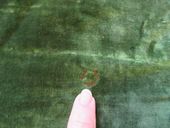 Click to change picture