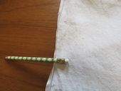 Click to change picture