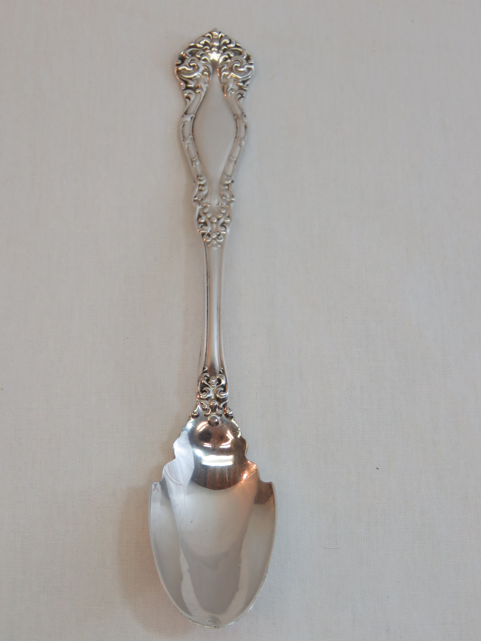 NEWTON SILVERPLATE CHEESE SCOOP SPOON aka RALEIGH WM. ROGERS & SON  (SIL-42)