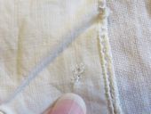 Click to change picture